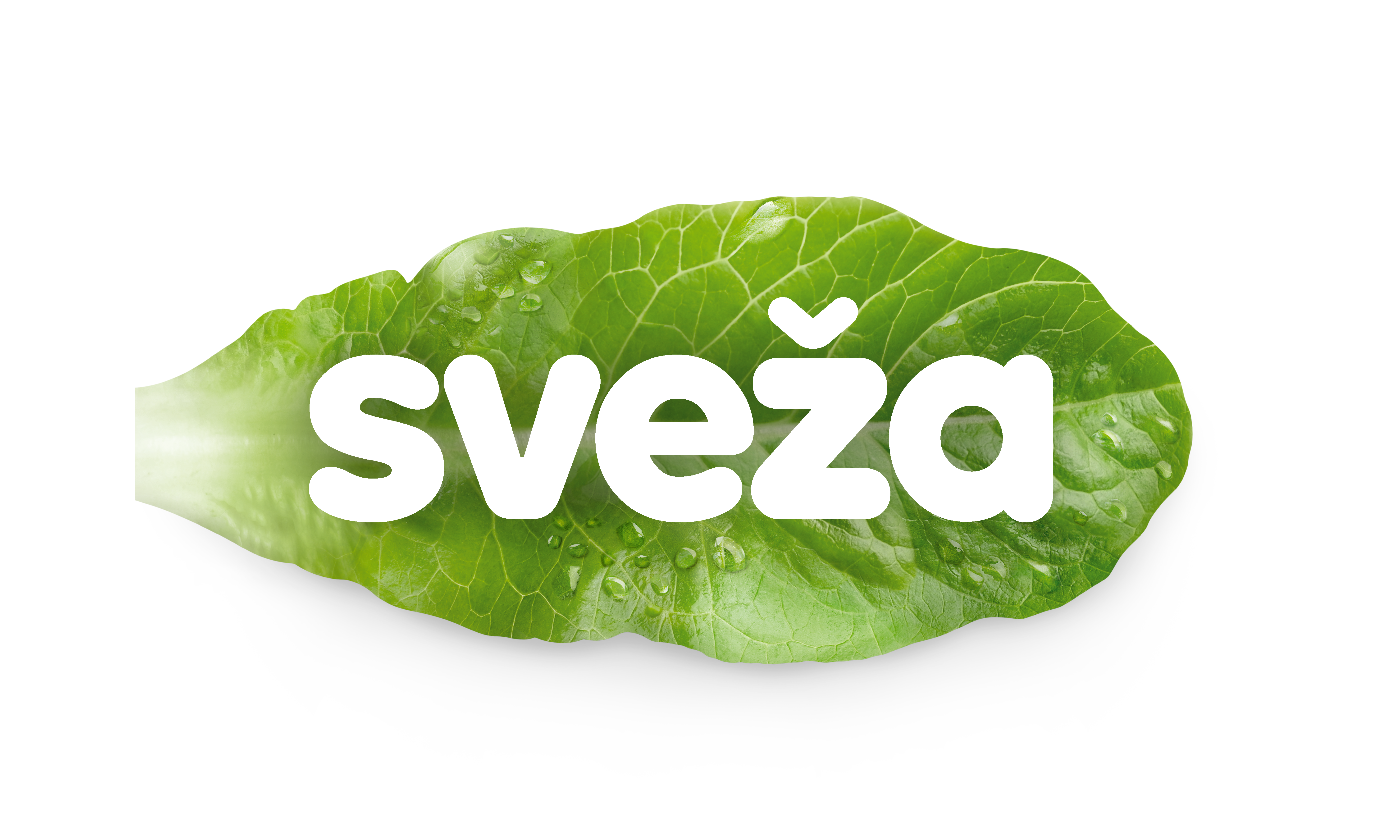 SVEŽA